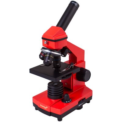 Микроскоп Levenhuk Rainbow 2L PLUS Orange\Апельсин 69045